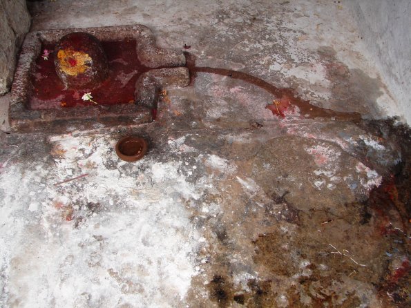 DSC04753-alampur-linga