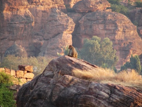 DSC04349-badami-monkey