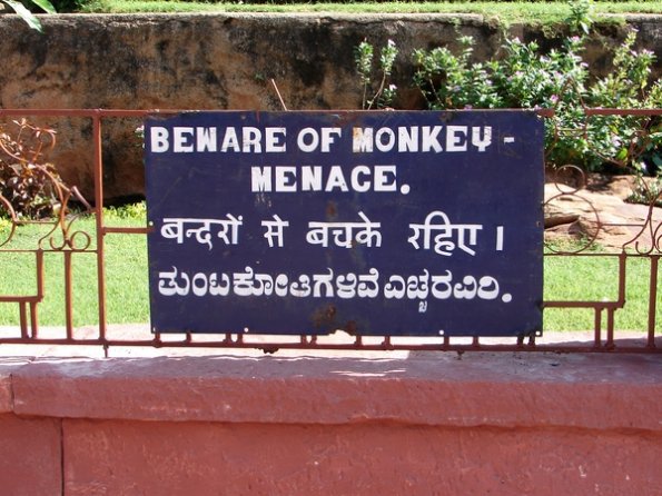 DSC04393-badami-insecurite